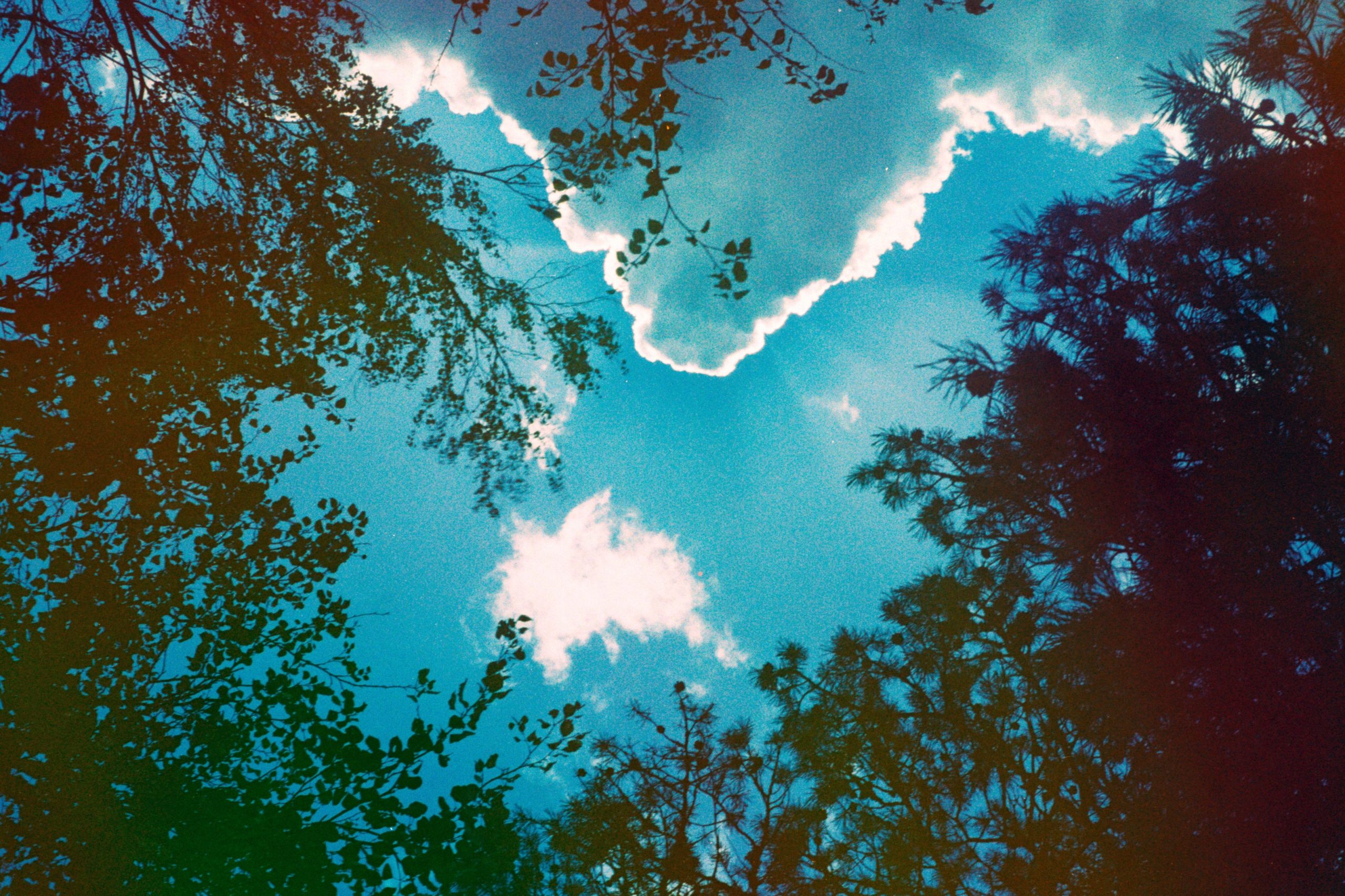 A photoshopped image of the sky with surrounding trees in the shot.