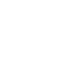 An icon of a human brain with a heart overlaid on a white background.
